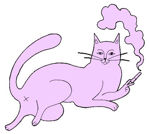 Pink Cat Sticker by Love Tattoos