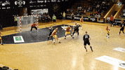 Fans Yes GIF by HCB Karviná