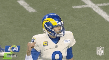 Los Angeles Rams Football GIF by NFL