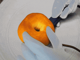 bagelwagel bagel bagels bagelnet GIF
