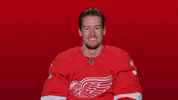 Red Wings Sport GIF by Detroit Red Wings
