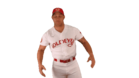 Homerun Basbeall Sticker by Winnipeg Goldeyes Baseball Club
