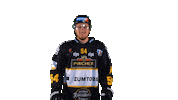 Hockey Look Sticker by HC Pustertal Wolves