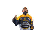Hockey Look Sticker by HC Pustertal Wolves