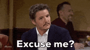 Excuse Me Snl GIF by Saturday Night Live