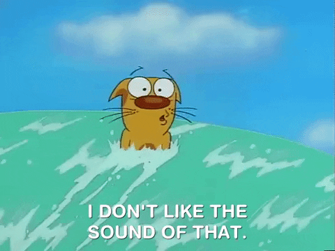 Nicksplat 90S Tv GIF by NickRewind