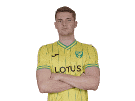 Premier League Soccer Sticker by Norwich City Football Club
