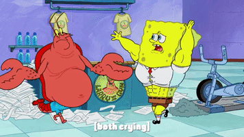 season 9 GIF by SpongeBob SquarePants