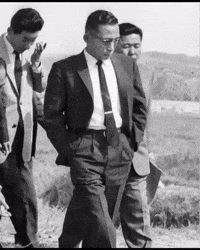 Korea Freedom GIF