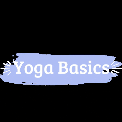 nasceyoga yoga principiantes nasce nasceyoga GIF
