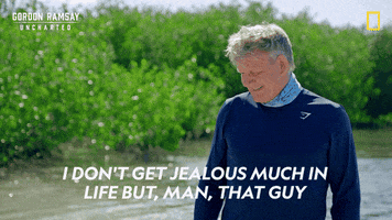 Gordon Ramsay Disney Plus GIF by National Geographic TV