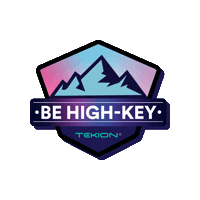 New Year Skiing Sticker by Tekion Force India