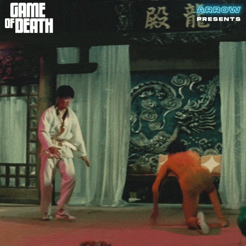 Martial Arts Film GIF by Arrow Video