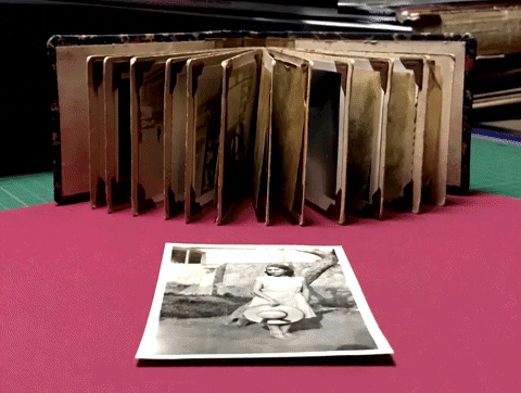 carolvidalf giphygifmaker GIF