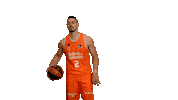 Liga Endesa Basketball Sticker by ACB