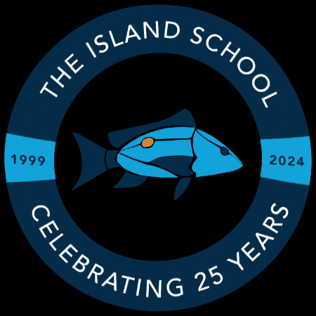 islandschool giphygifmaker GIF