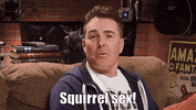 RETROREPLAY squirrel nolan north retro replay GIF