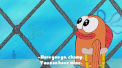 season 9 sanctuary GIF by SpongeBob SquarePants