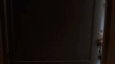 season 4 episode 3 GIF by Workaholics