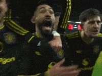 Premier League Football GIF