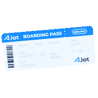 Summer Winter Sticker by AJet