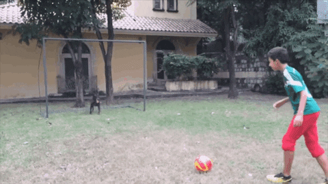 world's funniest fails GIF by Fox TV