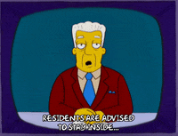 Stay Inside Episode 9 GIF by The Simpsons