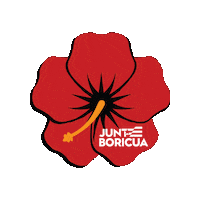Junte Boricua Sticker by Populicom