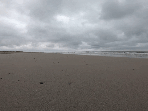 susanmelchers giphygifmaker GIF