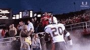 Ed Reed GIF by Miami Hurricanes
