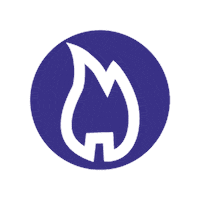 Pyrotechnik Boller Sticker by pyroweb