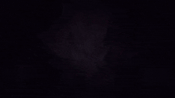 Dragon Borderlands GIF by MentalMars