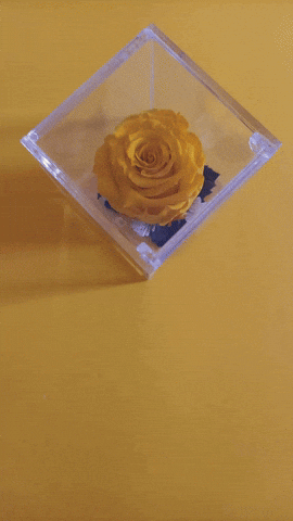 Simongip giphyupload GIF