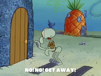 season 1 Naughty Nautical Neighbors GIF by SpongeBob SquarePants
