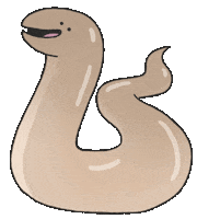 Happy Legless Lizard Sticker by Lisa Vertudaches