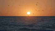 hangin on GIF by Chris Young