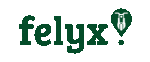 Scooter Felyx Sticker by OnlyRoses