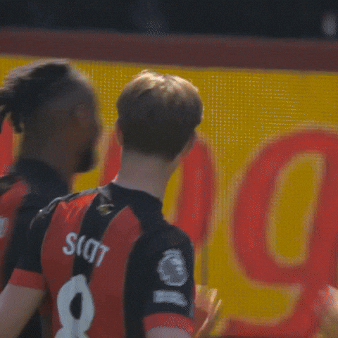 Premier League Football GIF by AFC Bournemouth