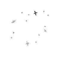 Leo Zodiac Sticker