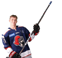 tiposshl sport hockey hokej shl Sticker