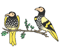 Bird Singing Sticker by Lisa Vertudaches