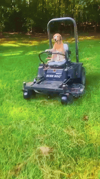 Lawn Mower GIF by Respective