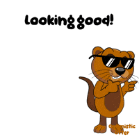 Look Looking GIF by VeeFriends