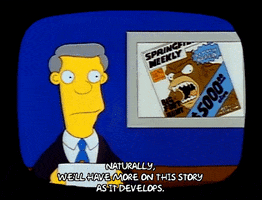 Season 1 GIF by The Simpsons