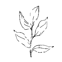 Home Plant Sticker by Bouclair