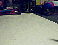 stop-motion paper GIF by Philippa Rice