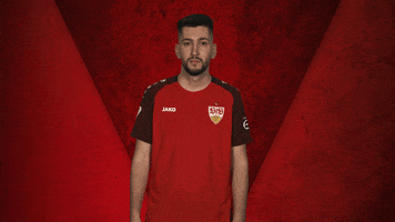 Stuttgart GIF by Bundesliga