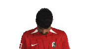 Look Up Sc Freiburg Sticker by Bundesliga