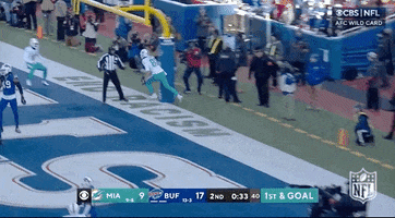 Miami Dolphins Football GIF by NFL