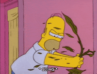 homer simpson episode 3 GIF